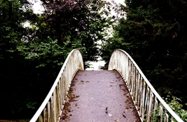 Picture of curved footbridge rising into the horizon